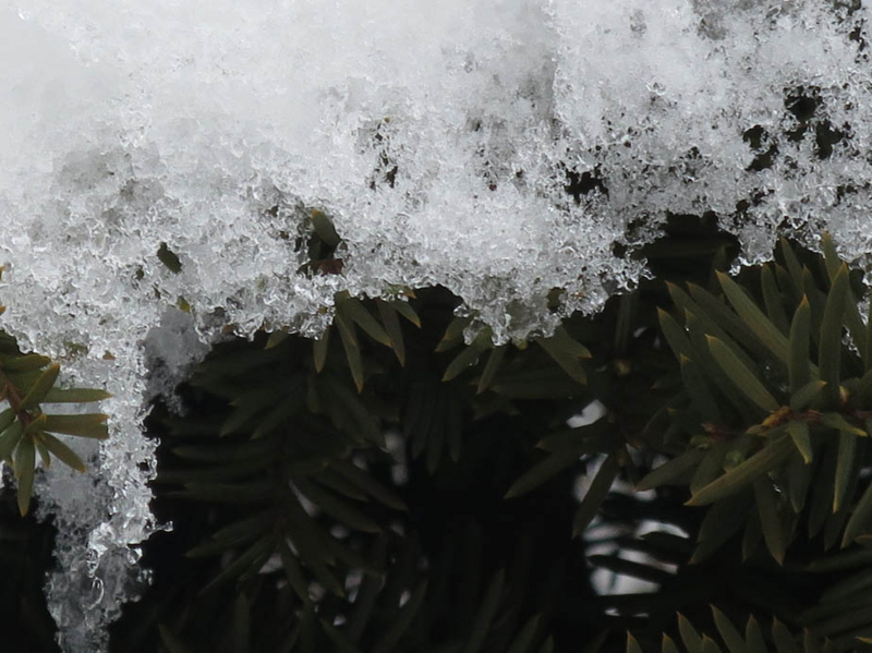 f:id:atarou:20140109091652j:image