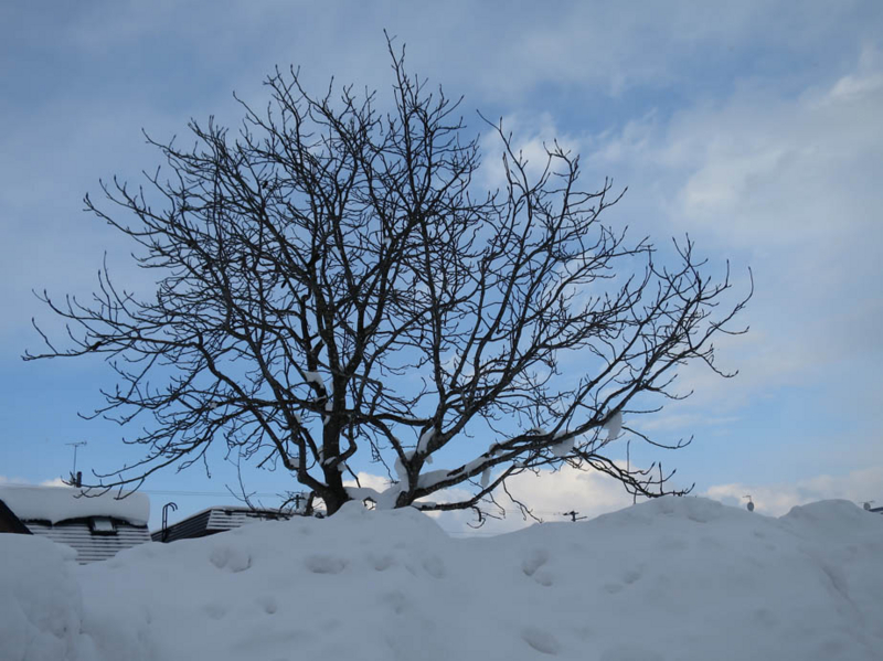 f:id:atarou:20140110085452j:image