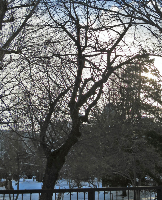 f:id:atarou:20140111063428j:image