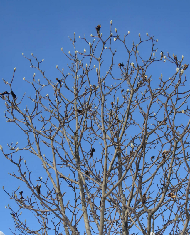 f:id:atarou:20140112090542j:image