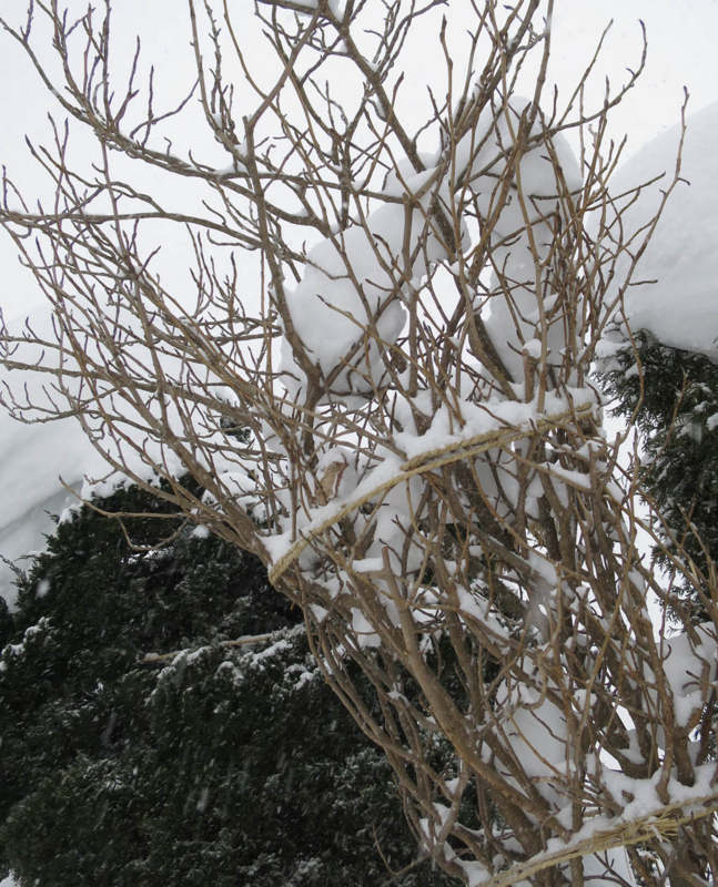 f:id:atarou:20140113093256j:image