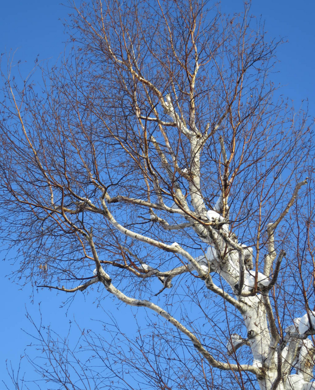 f:id:atarou:20140115070021j:image
