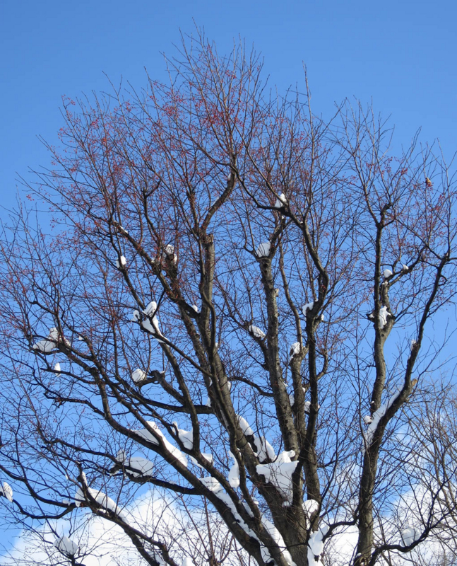 f:id:atarou:20140115085631j:image