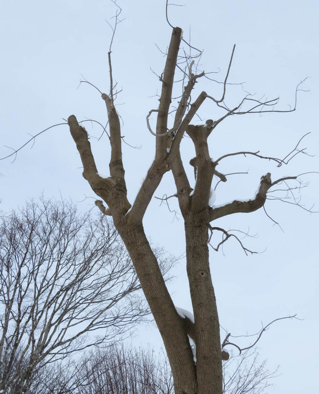 f:id:atarou:20140119084813j:image