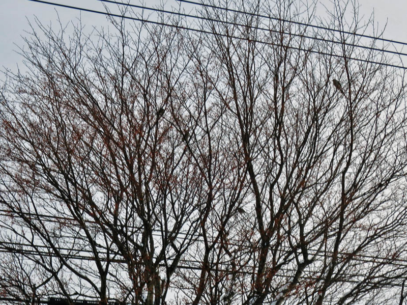 f:id:atarou:20140119092558j:image