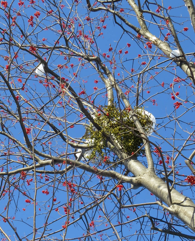 f:id:atarou:20140120084818j:image