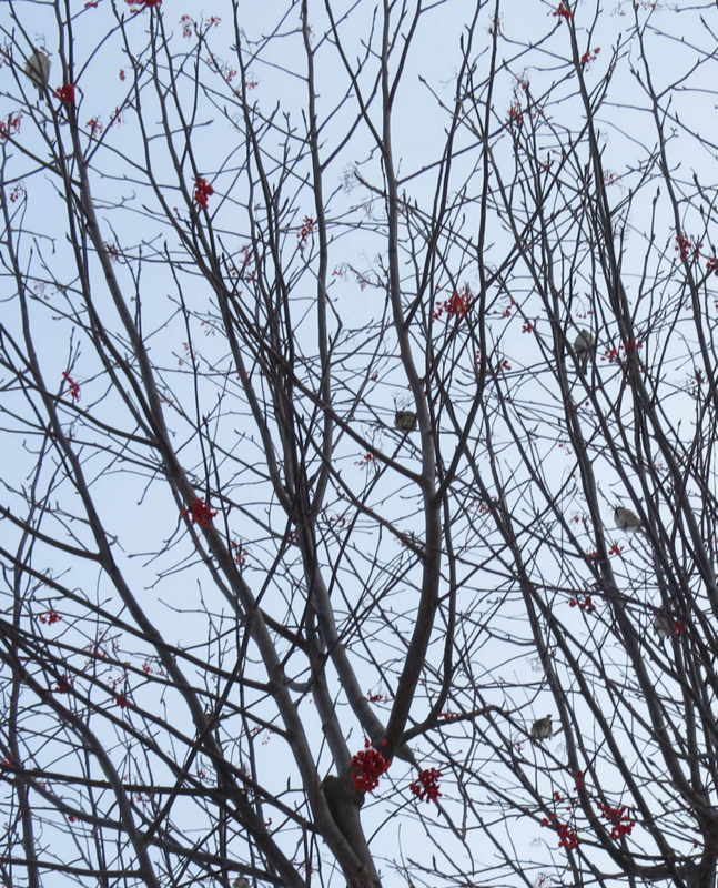 f:id:atarou:20140121065200j:image