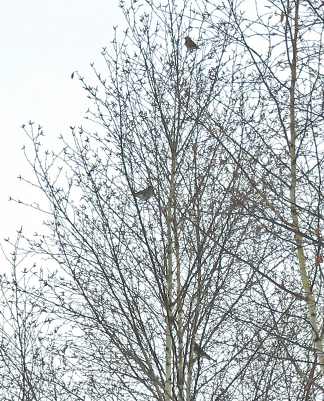 f:id:atarou:20140121072241j:image