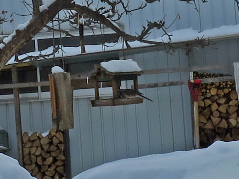 f:id:atarou:20140121073105j:image