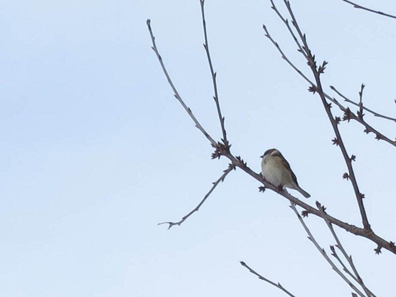 f:id:atarou:20140121073107j:image