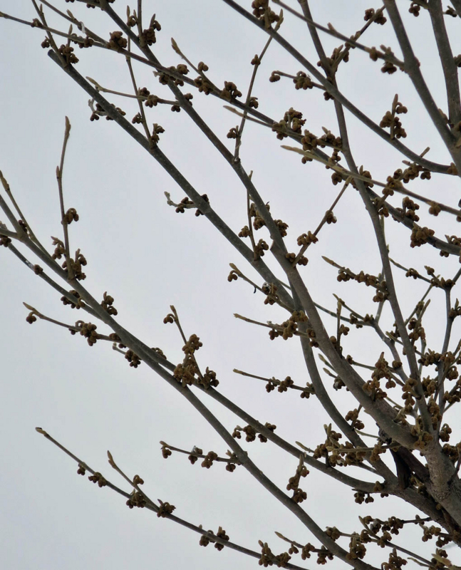 f:id:atarou:20140122062957j:image