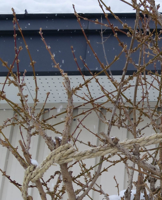f:id:atarou:20140122073314j:image