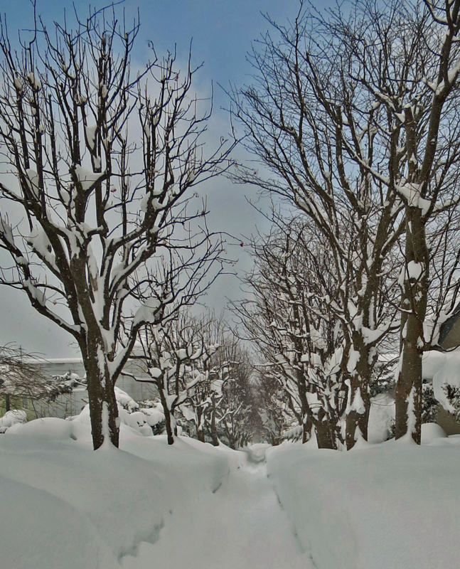 f:id:atarou:20140123084557j:image
