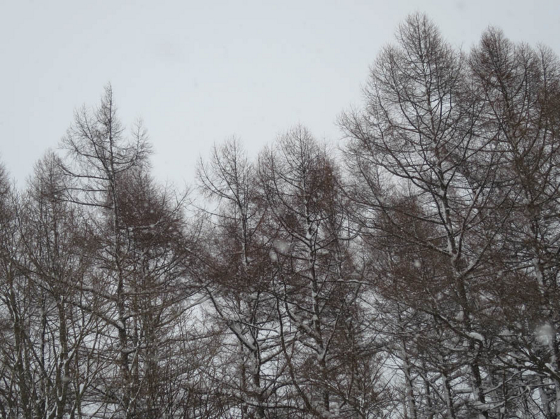 f:id:atarou:20140123091529j:image