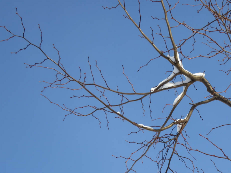 f:id:atarou:20140124085130j:image