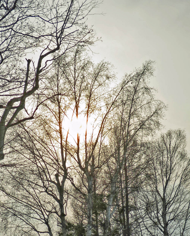f:id:atarou:20140126085944j:image