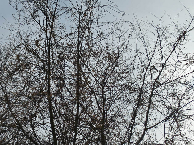 f:id:atarou:20140127085705j:image