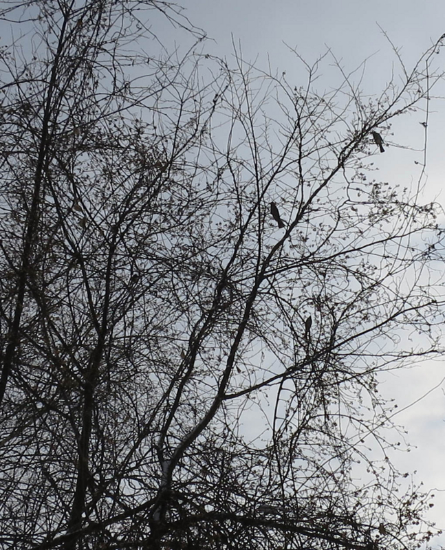 f:id:atarou:20140127085707j:image