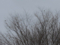20140131095620