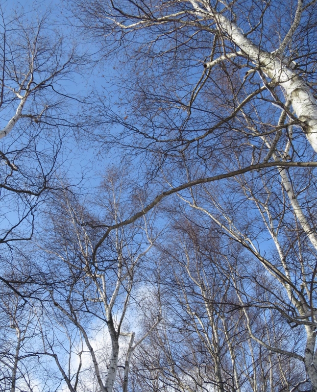 f:id:atarou:20140206083108j:image f:id:atarou:20140206083108j:image