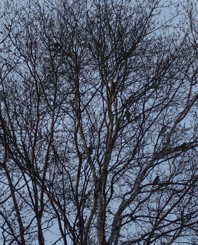 f:id:atarou:20140206090226j:image f:id:atarou:20140206090226j:image