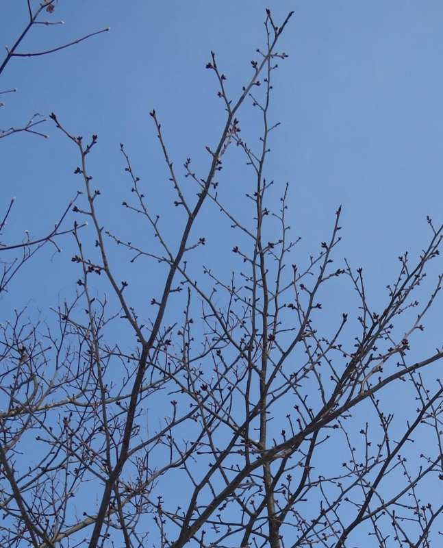 f:id:atarou:20140209063915j:image