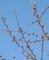20140228063809