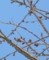 20140228070534
