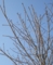 20140228071353