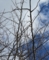 20140301062238