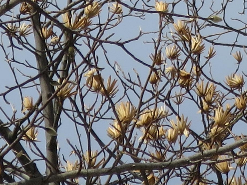 f:id:atarou:20140301062924j:image f:id:atarou:20140301062924j:image
