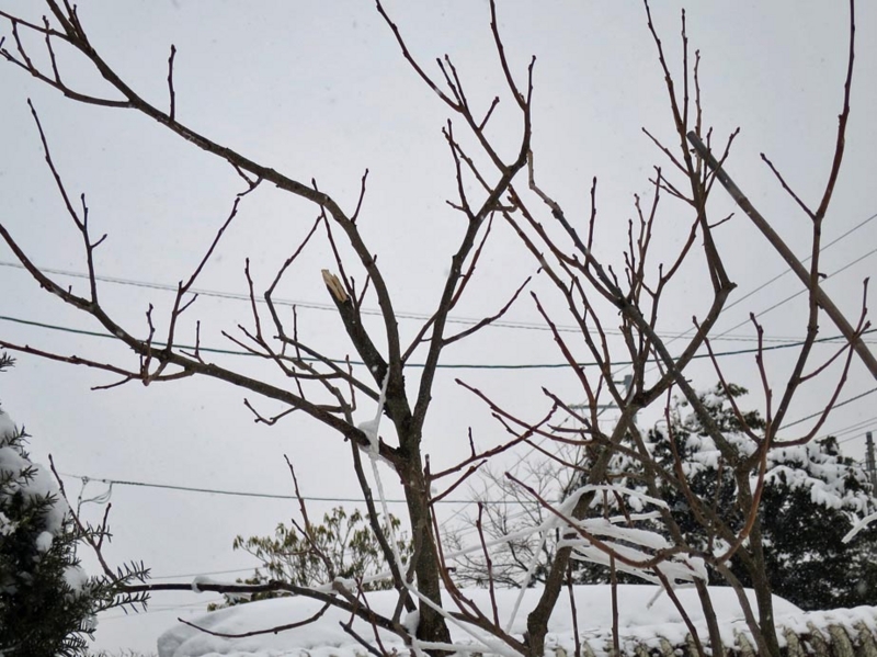 f:id:atarou:20140306093031j:image
