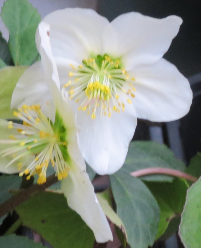 f:id:atarou:20140307063913j:image