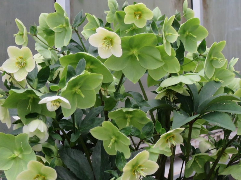 f:id:atarou:20140307071529j:image