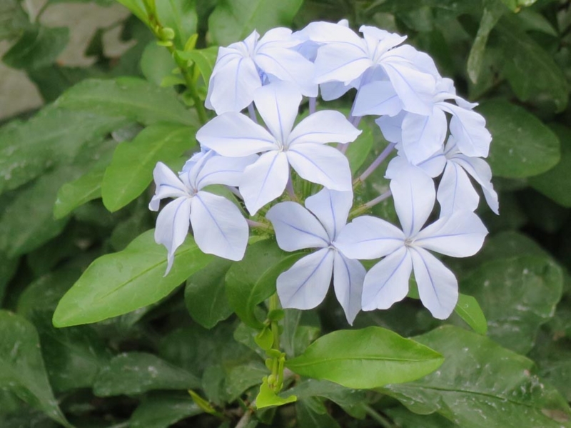 f:id:atarou:20140307083001j:image