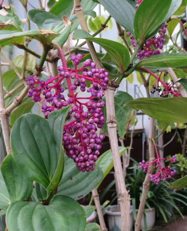 f:id:atarou:20140307083002j:image