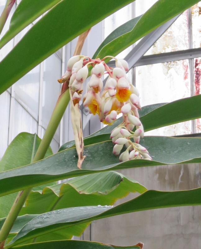 f:id:atarou:20140307083004j:image