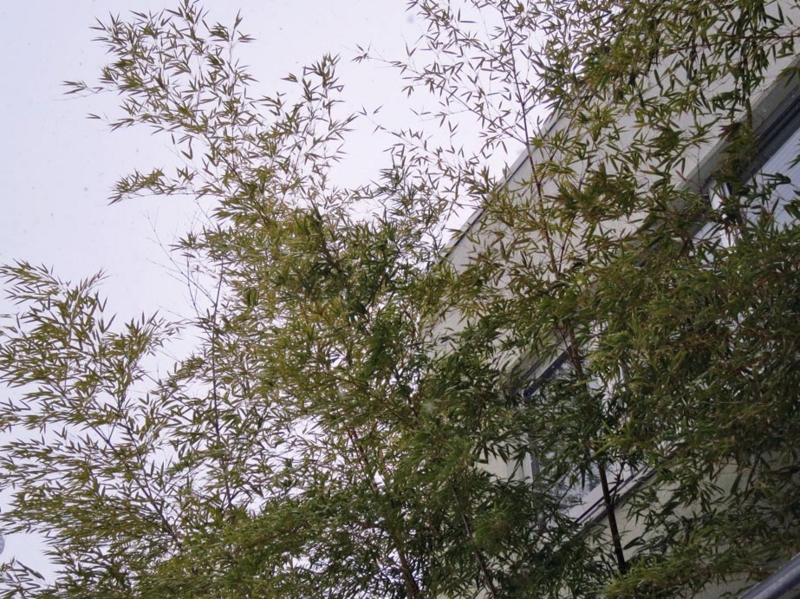 f:id:atarou:20140307083955j:image