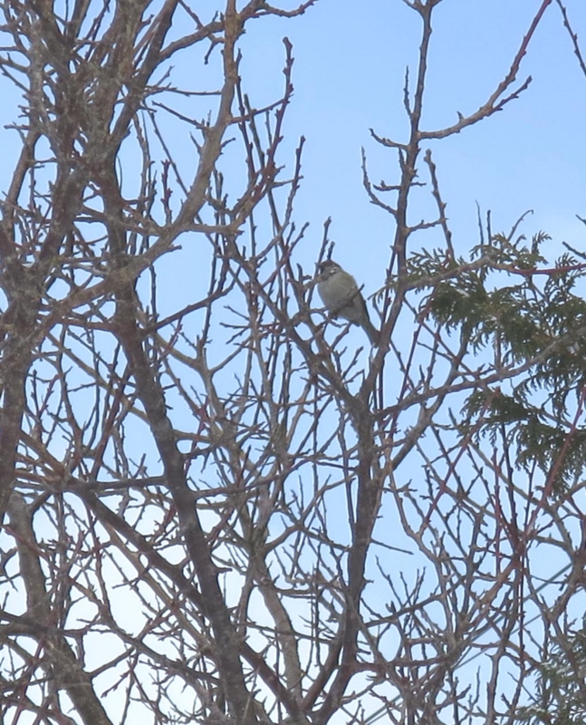 f:id:atarou:20140307174043j:image f:id:atarou:20140307174043j:image