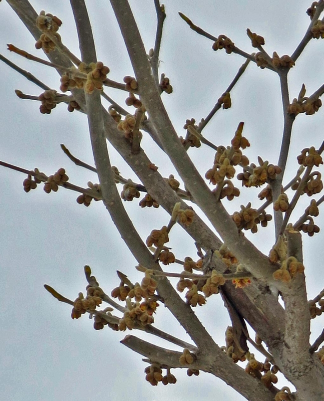 f:id:atarou:20140310070648j:image