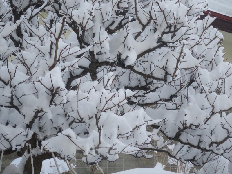 f:id:atarou:20140310090412j:image