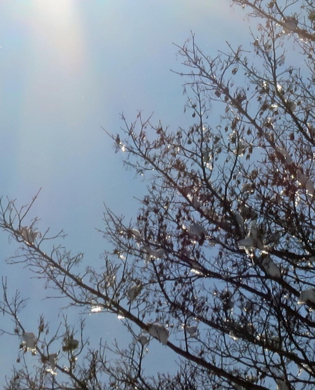 f:id:atarou:20140311085707j:image