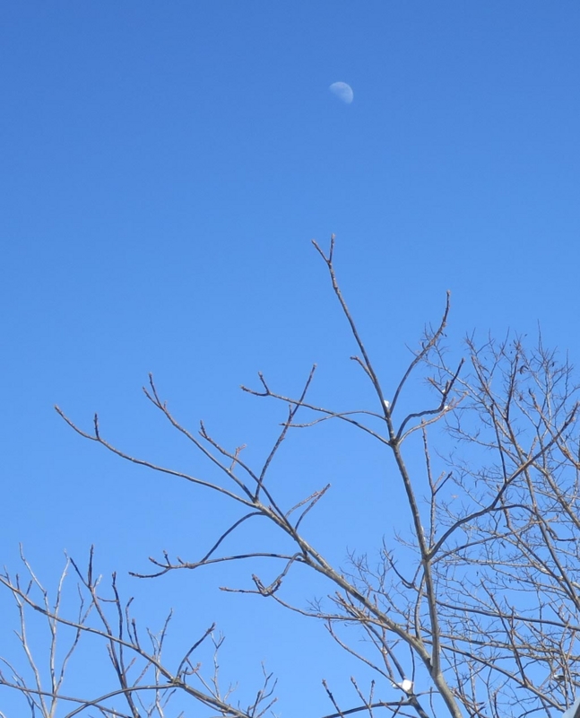 f:id:atarou:20140311091419j:image