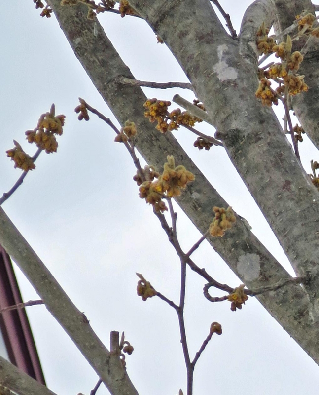 f:id:atarou:20140314062156j:image