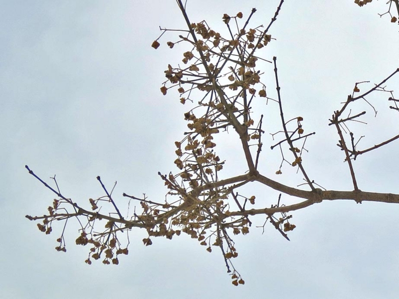 f:id:atarou:20140314065811j:image