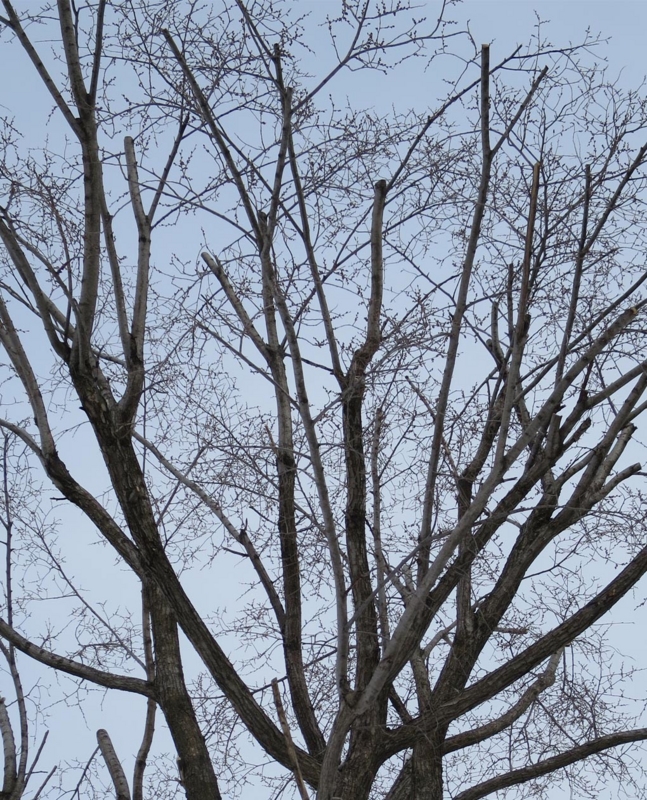 f:id:atarou:20140314071319j:image