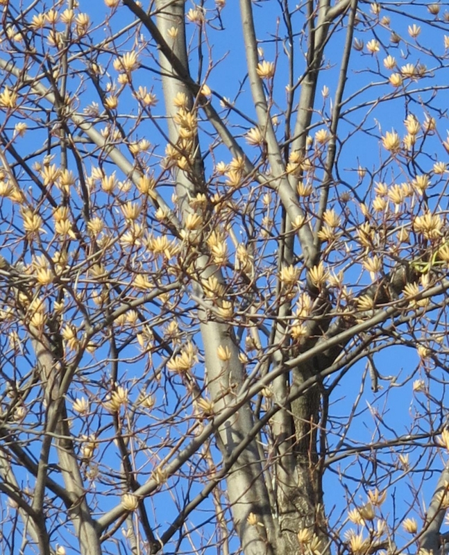 f:id:atarou:20140318071600j:image