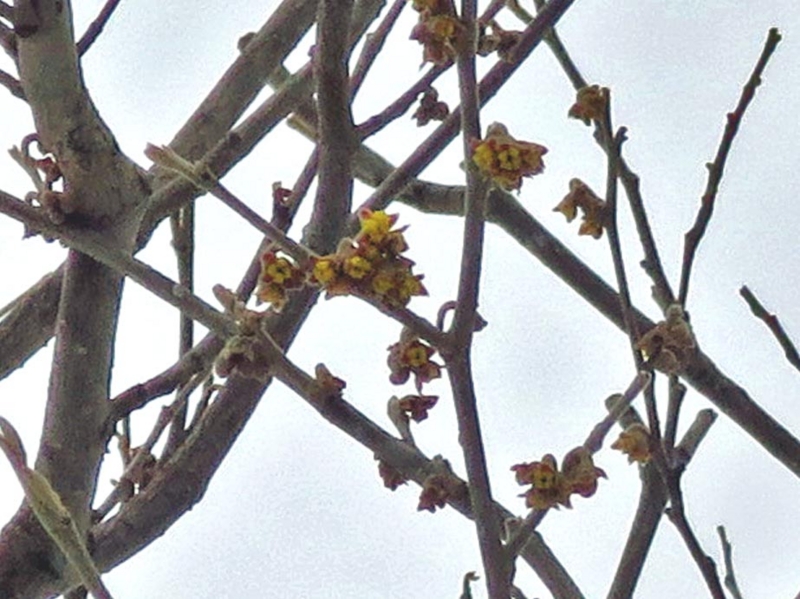 f:id:atarou:20140319070253j:image