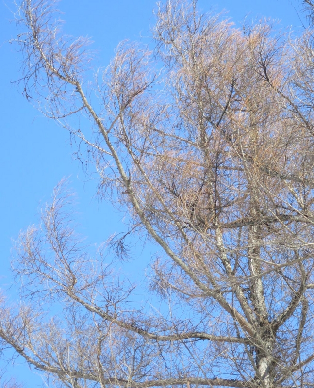 f:id:atarou:20140320065541j:image