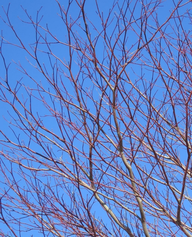 f:id:atarou:20140320085925j:image